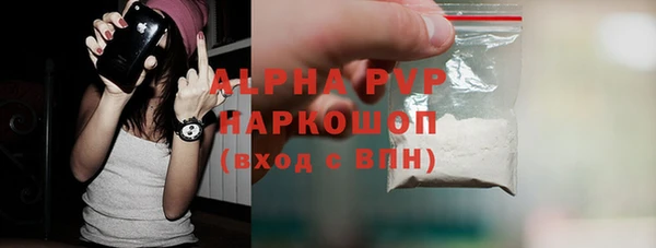 ПСИЛОЦИБИНОВЫЕ ГРИБЫ Богданович